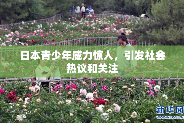 日本青少年威力惊人，引发社会热议和关注