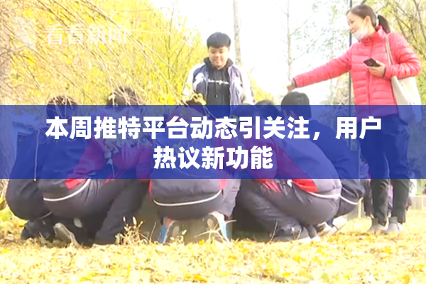 本周推特平台动态引关注，用户热议新功能