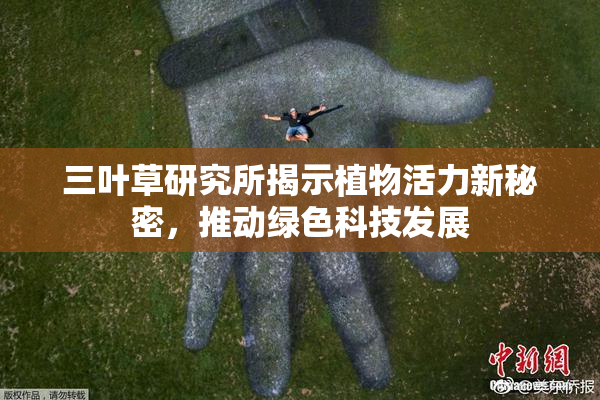 三叶草研究所揭示植物活力新秘密，推动绿色科技发展