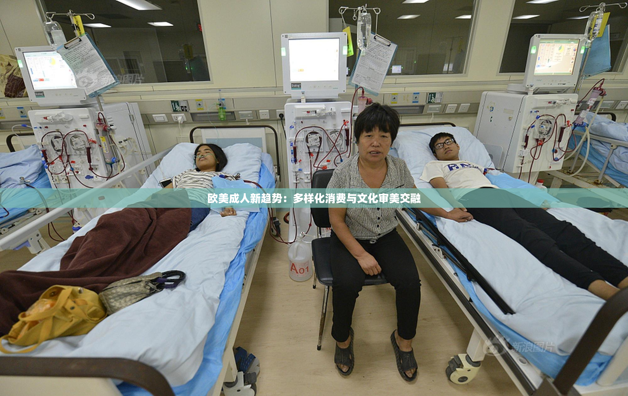 欧美成人新趋势：多样化消费与文化审美交融