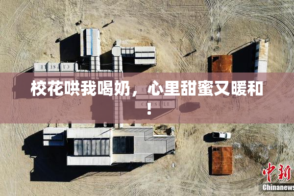 校花哄我喝奶，心里甜蜜又暖和！