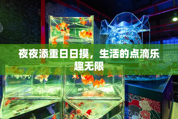 夜夜添重日日摸，生活的点滴乐趣无限