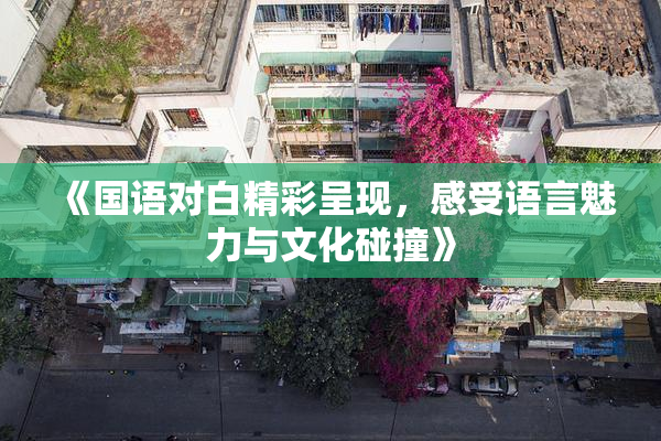 《国语对白精彩呈现，感受语言魅力与文化碰撞》