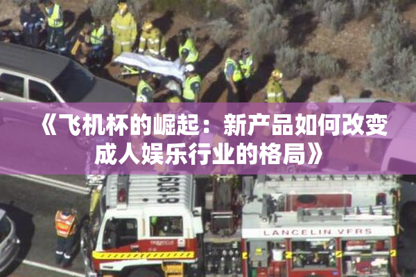 《飞机杯的崛起：新产品如何改变成人娱乐行业的格局》