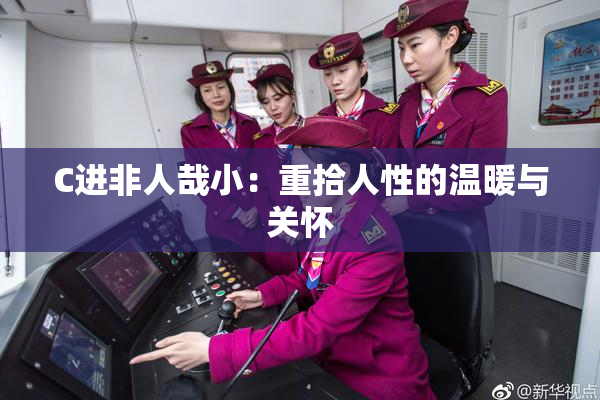 C进非人哉小：重拾人性的温暖与关怀