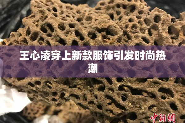 王心凌穿上新款服饰引发时尚热潮