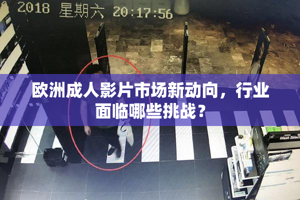 欧洲成人影片市场新动向，行业面临哪些挑战？