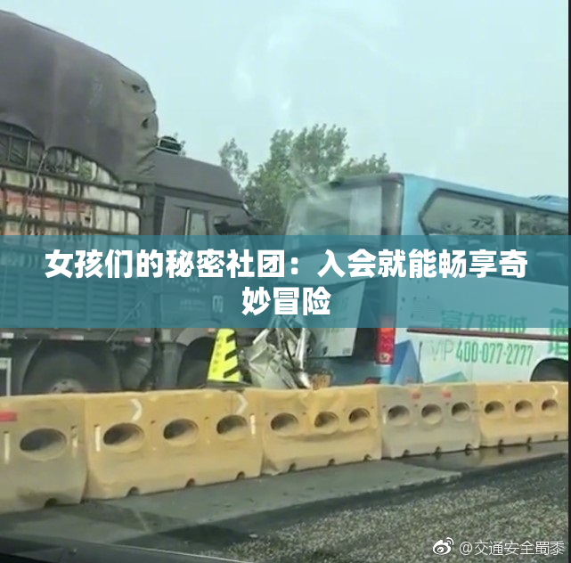 女孩们的秘密社团：入会就能畅享奇妙冒险