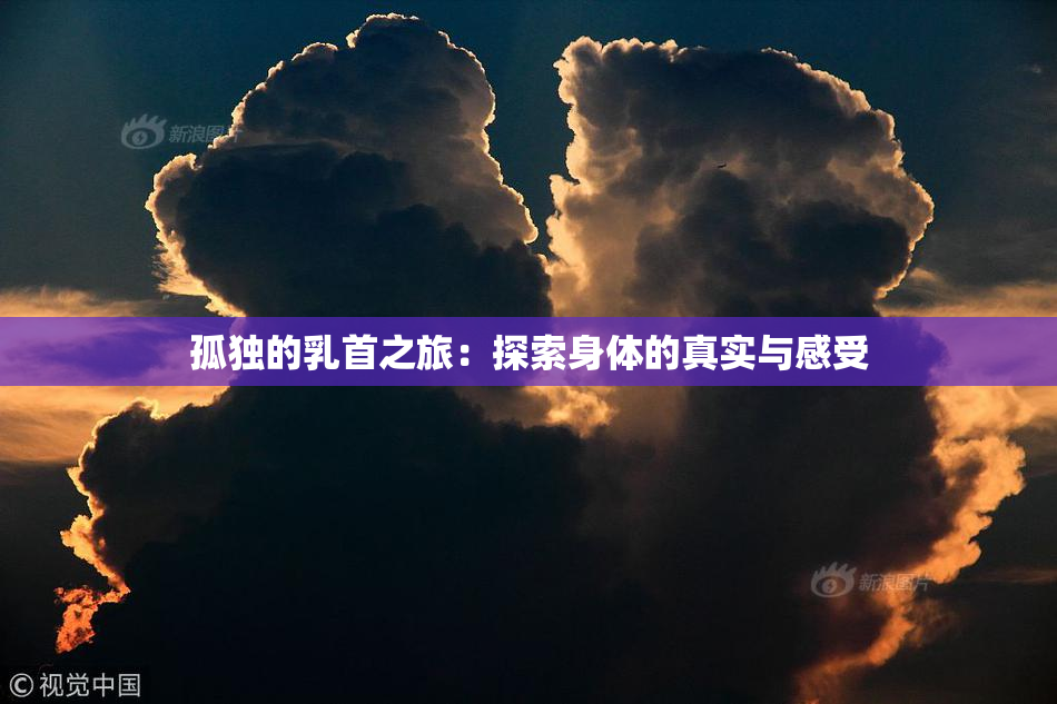 孤独的乳首之旅：探索身体的真实与感受