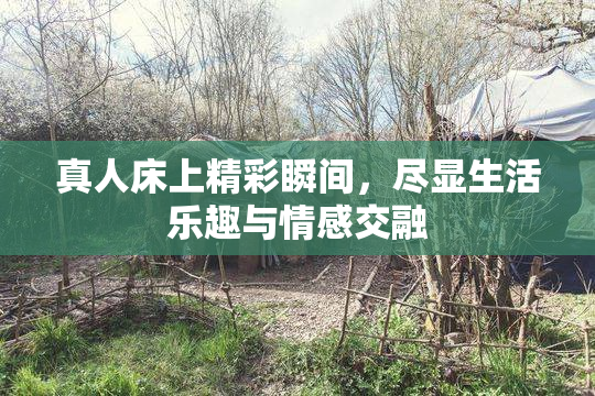 真人床上精彩瞬间，尽显生活乐趣与情感交融
