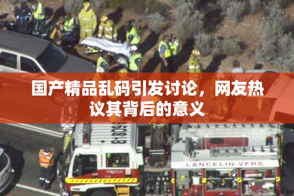 国产精品乱码引发讨论，网友热议其背后的意义