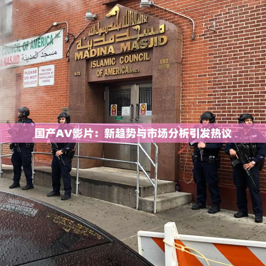 国产AV影片：新趋势与市场分析引发热议