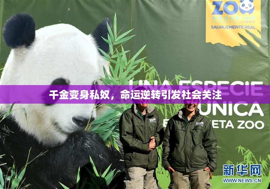 千金变身私奴，命运逆转引发社会关注