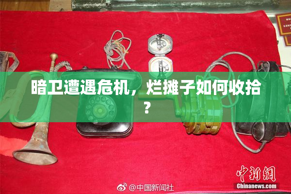 暗卫遭遇危机，烂摊子如何收拾？