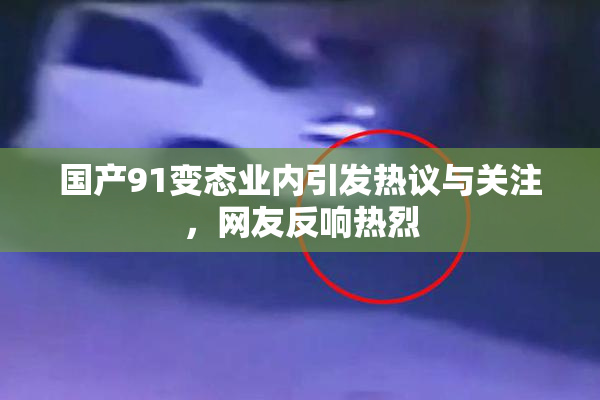 国产91变态业内引发热议与关注，网友反响热烈