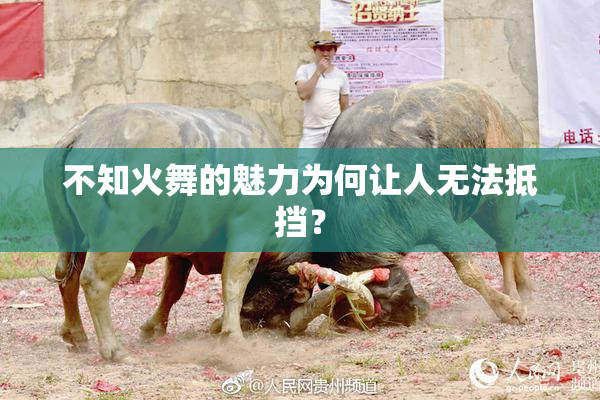 不知火舞的魅力为何让人无法抵挡？