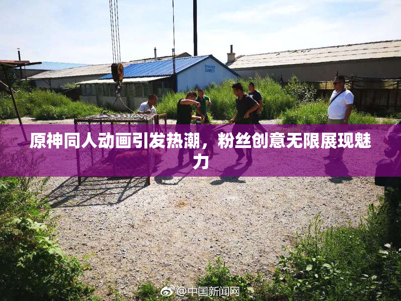 原神同人动画引发热潮，粉丝创意无限展现魅力