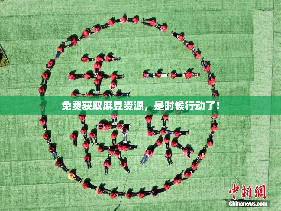 免费获取麻豆资源，是时候行动了！