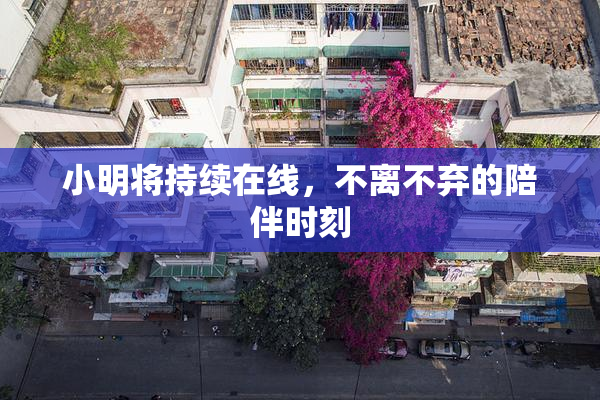 小明将持续在线，不离不弃的陪伴时刻