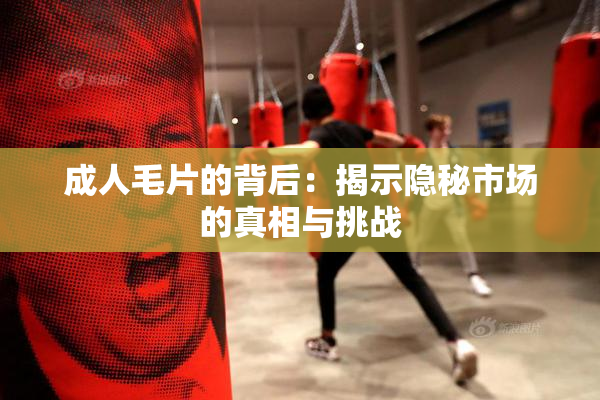 成人毛片的背后：揭示隐秘市场的真相与挑战