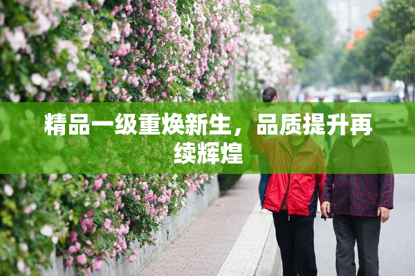 精品一级重焕新生，品质提升再续辉煌