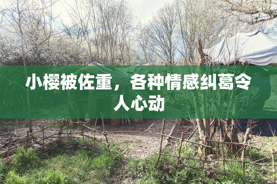 小樱被佐重，各种情感纠葛令人心动