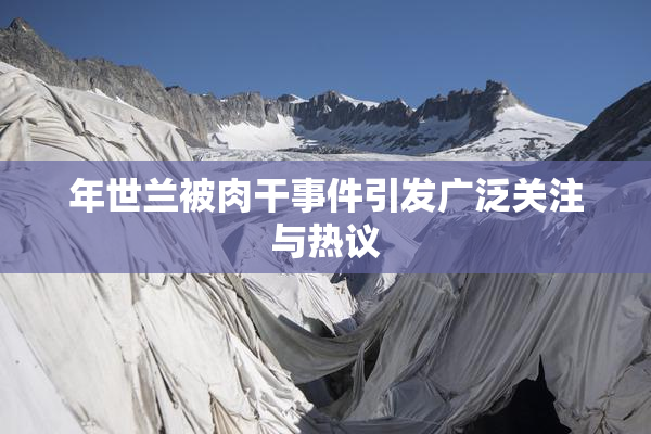 年世兰被肉干事件引发广泛关注与热议