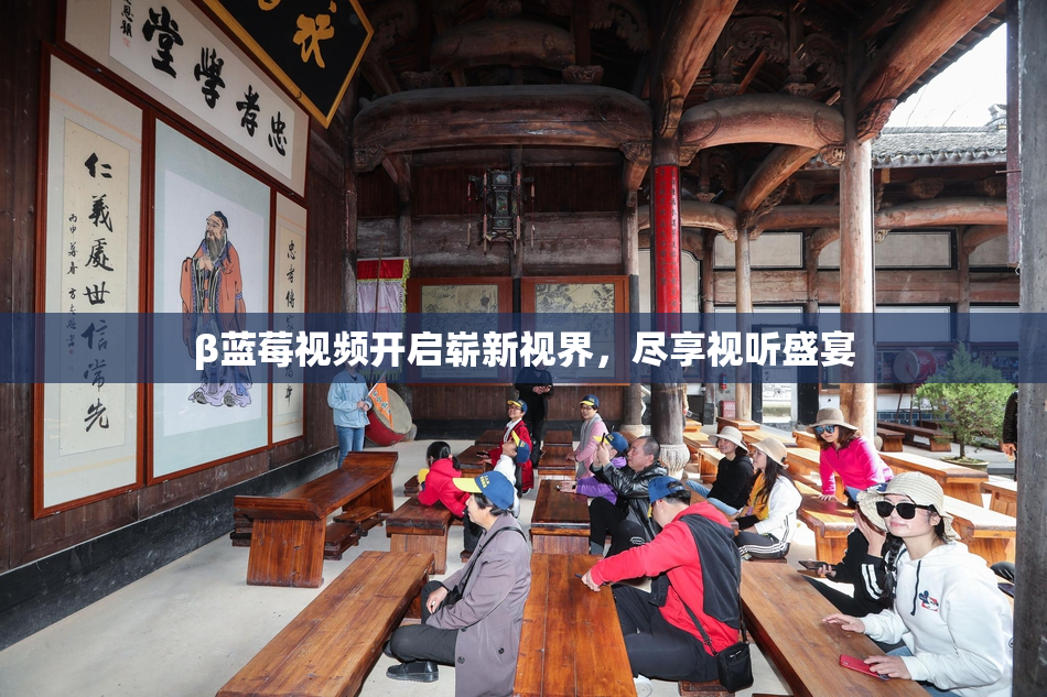 β蓝莓视频开启崭新视界，尽享视听盛宴