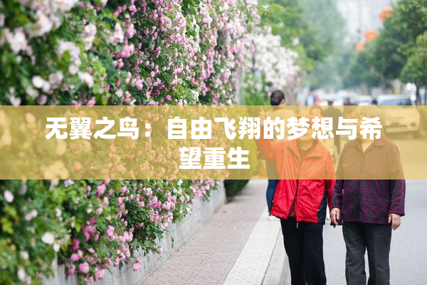 无翼之鸟：自由飞翔的梦想与希望重生