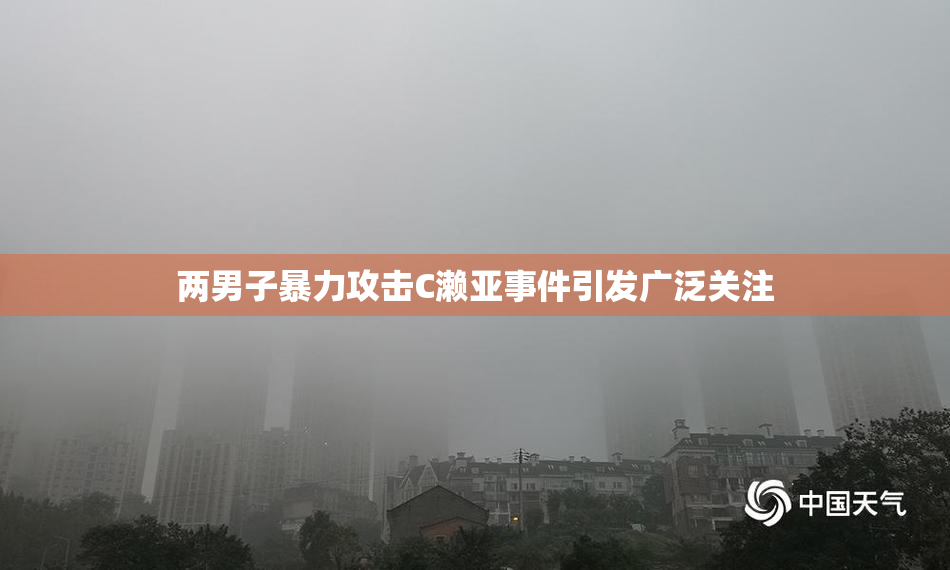两男子暴力攻击C濑亚事件引发广泛关注