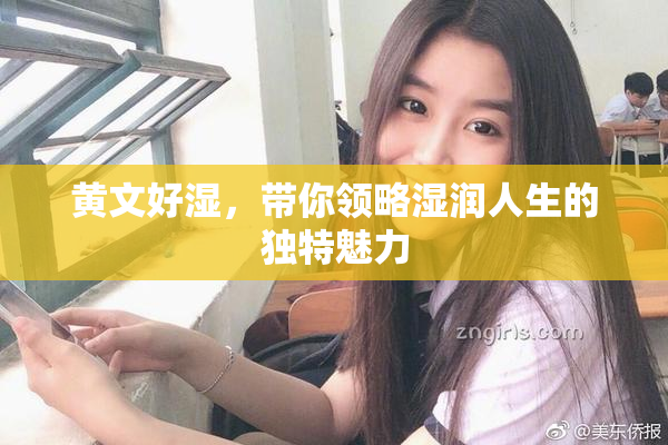 黄文好湿，带你领略湿润人生的独特魅力
