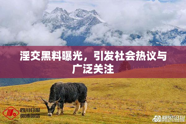 淫交黑料曝光，引发社会热议与广泛关注