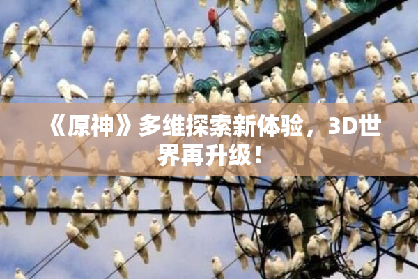 《原神》多维探索新体验，3D世界再升级！