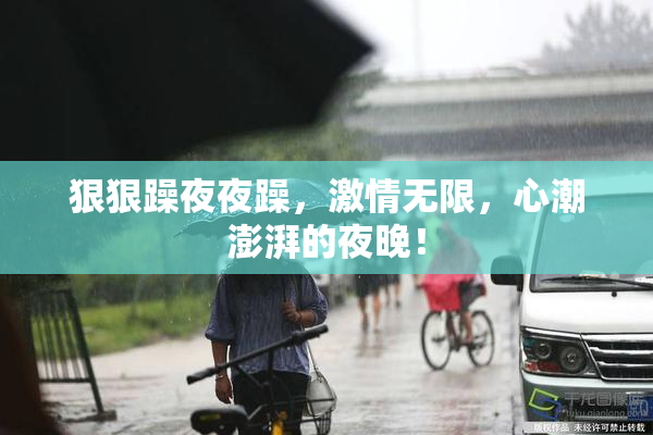 狠狠躁夜夜躁，激情无限，心潮澎湃的夜晚！