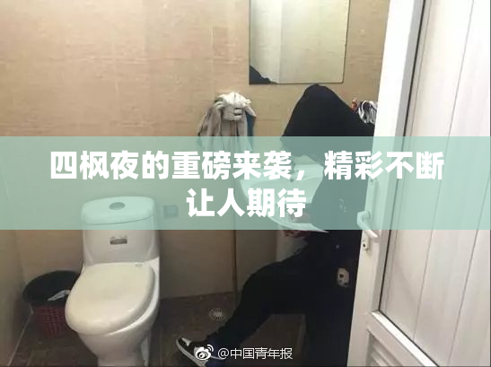 四枫夜的重磅来袭，精彩不断让人期待