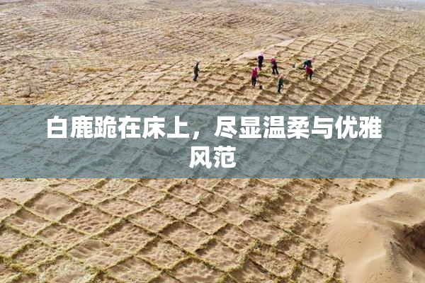 白鹿跪在床上，尽显温柔与优雅风范