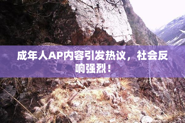 成年人AP内容引发热议，社会反响强烈！