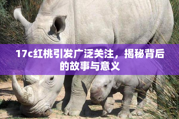 17c红桃引发广泛关注，揭秘背后的故事与意义