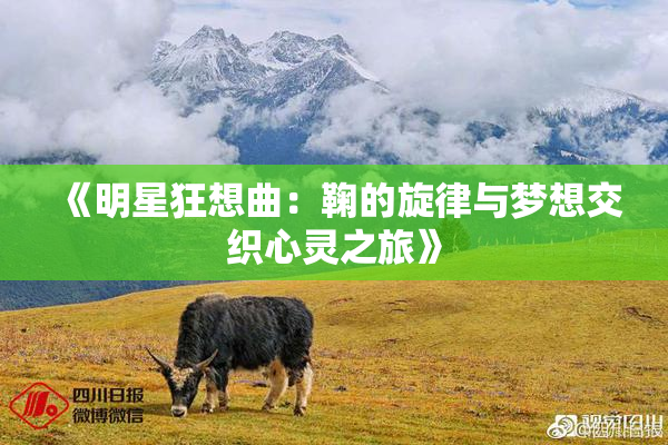 《明星狂想曲：鞠的旋律与梦想交织心灵之旅》