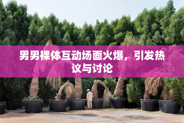 男男裸体互动场面火爆，引发热议与讨论