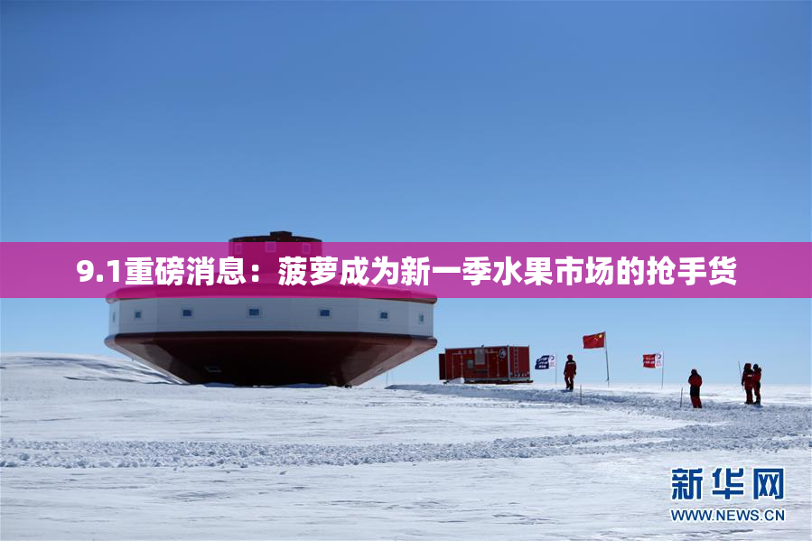 9.1重磅消息：菠萝成为新一季水果市场的抢手货