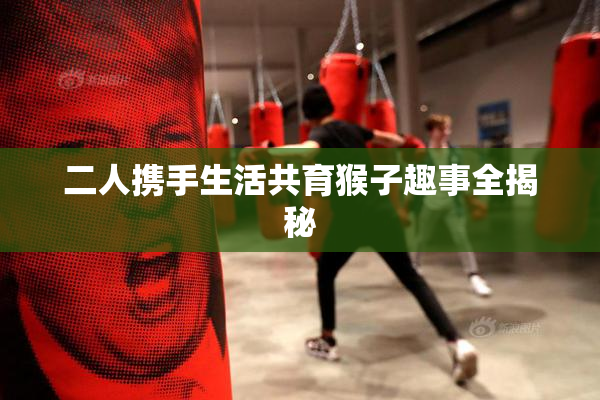 二人携手生活共育猴子趣事全揭秘
