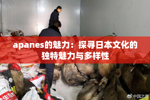 apanes的魅力：探寻日本文化的独特魅力与多样性