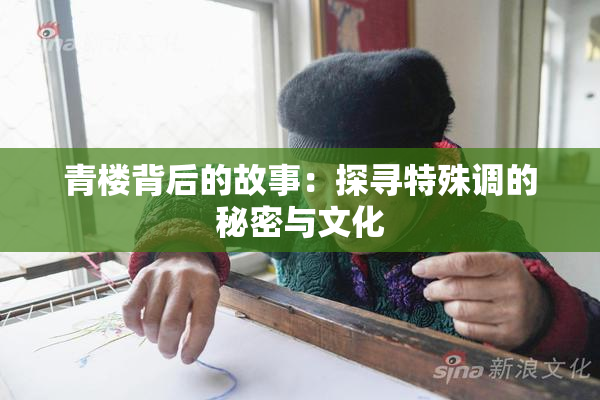 青楼背后的故事：探寻特殊调的秘密与文化