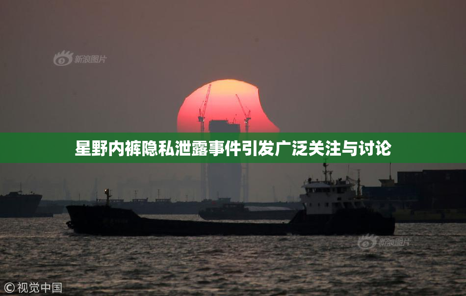 星野内裤隐私泄露事件引发广泛关注与讨论