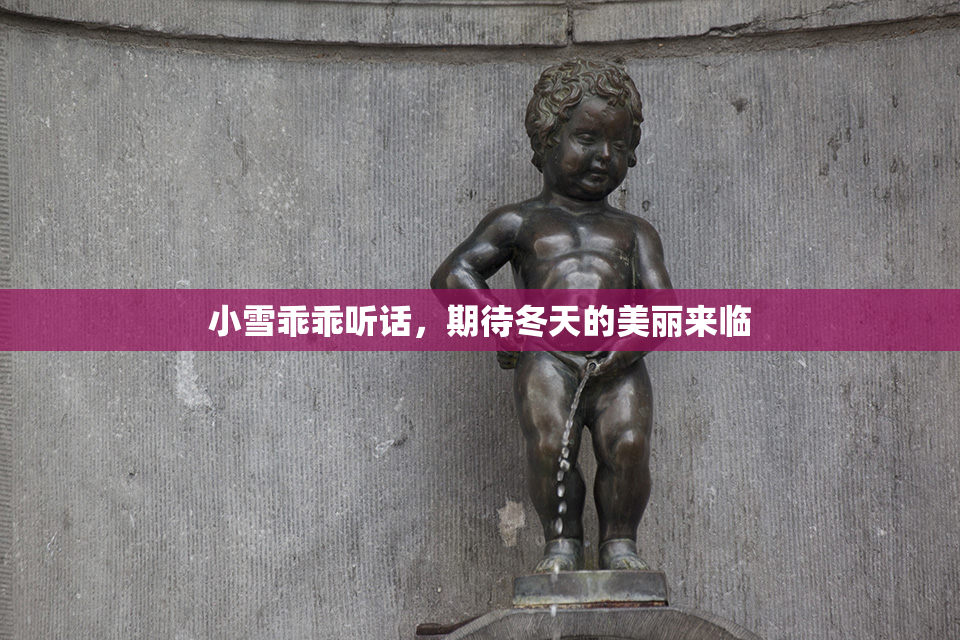 小雪乖乖听话，期待冬天的美丽来临