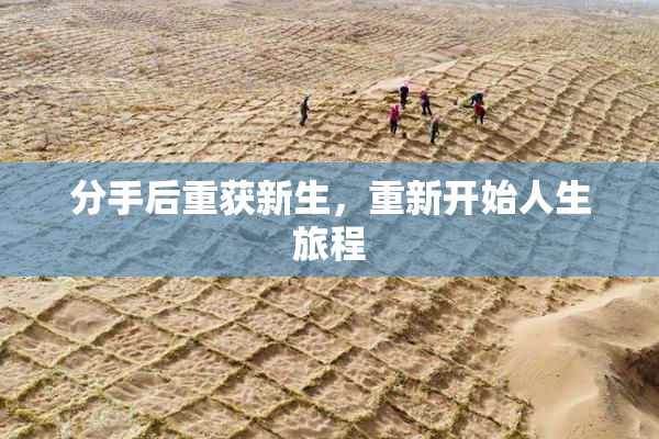 分手后重获新生，重新开始人生旅程