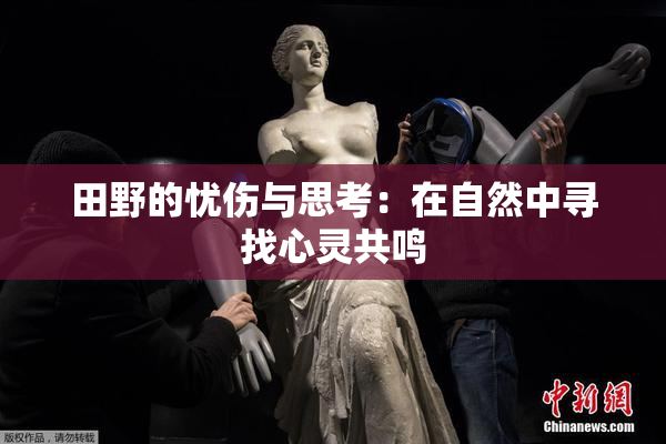 田野的忧伤与思考：在自然中寻找心灵共鸣