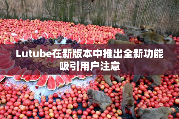 Lutube在新版本中推出全新功能吸引用户注意