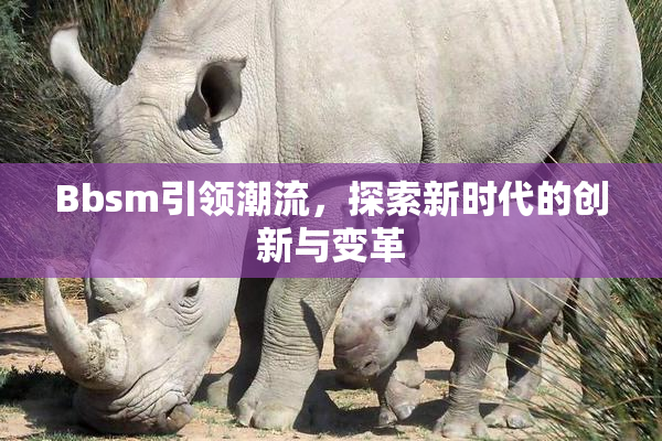 Bbsm引领潮流，探索新时代的创新与变革